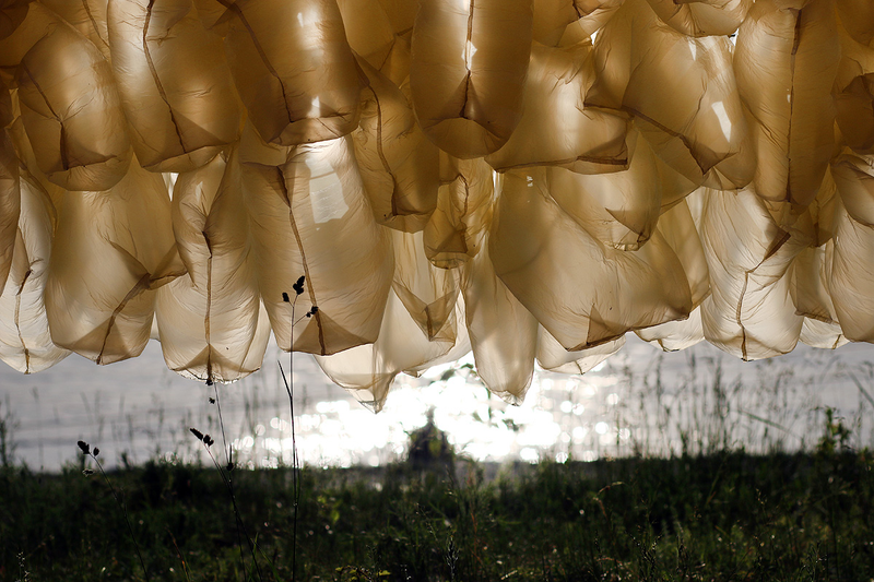 Illustration for article titled Weird Art Brings Plastic Shopping Bags Closer to Nature